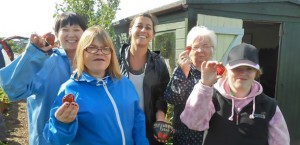 art group at the allotment